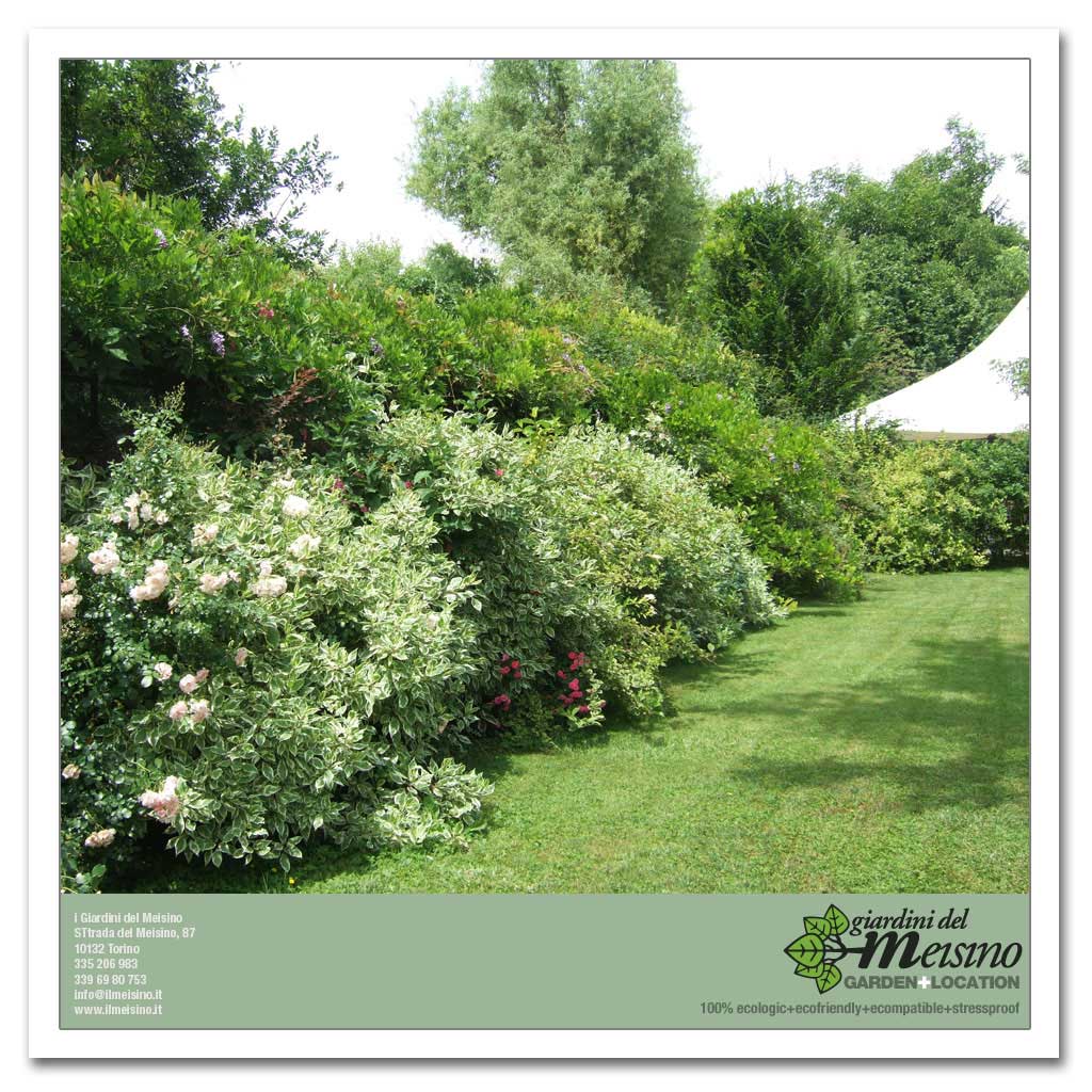 giardini meisino location torino 156